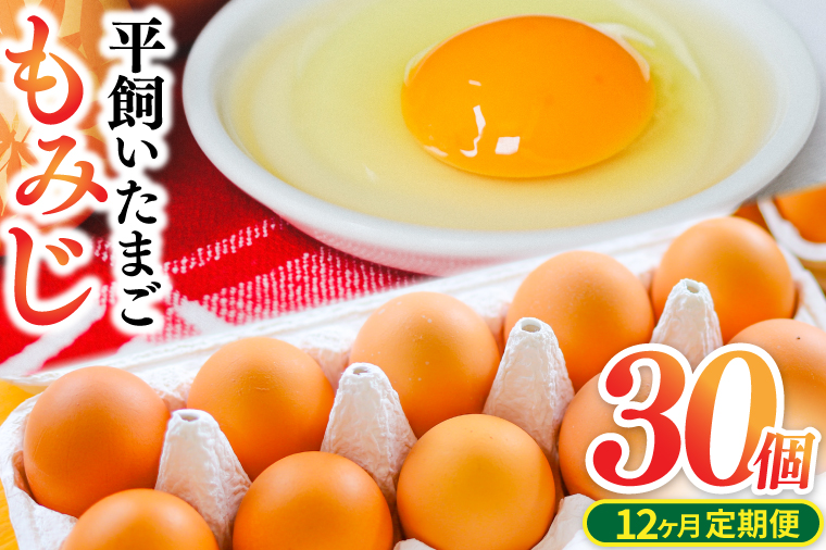 【浅沼養鶏場】定期便 レビュー 高評価 純国産鶏もみじ 平飼い 卵30個 破損保証5個を含む 定期便 12ヵ月 生産者 採れたて たまご 玉子 鶏卵 養鶏場より直送 (AJ026)