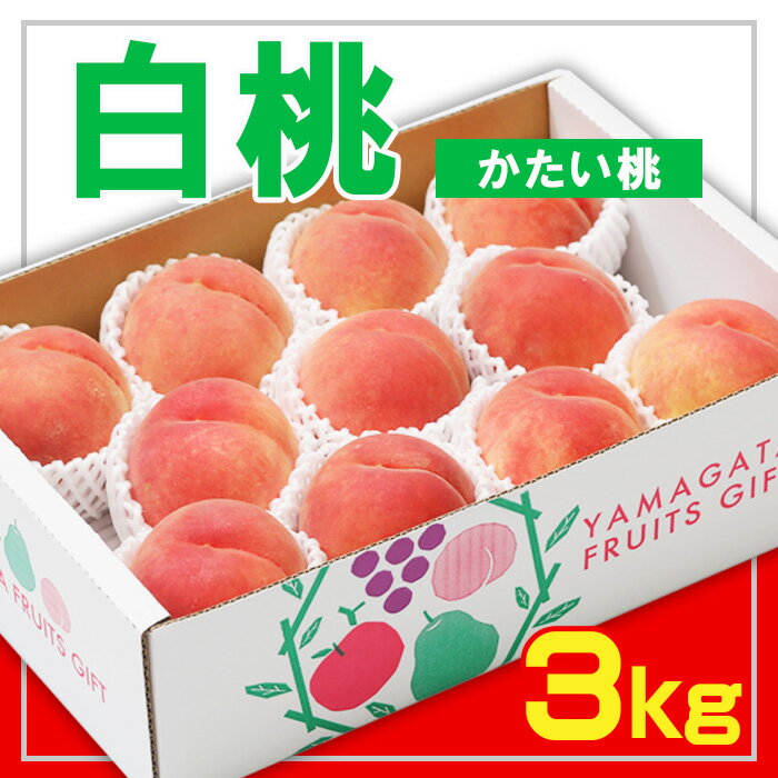 【ふるさと納税】☆フルーツ王国山形☆白桃 秀品 3kg [かたい桃] 【令和7年産先行予約】FS23-824 くだもの 果物 フルーツ 山形 山形県 山形市 2025年産