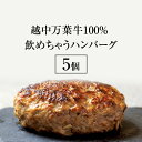 【ふるさと納税】越中万葉牛100％飲めちゃうハンバーグ おすすめ 牛肉 ボリューム 冷凍 焼くだけ /天狗乃肉林本店/富山県高岡市　高岡市