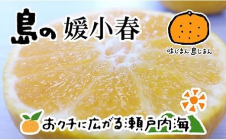希望の島 媛小春 2kg 【2027年3月上旬頃から順次発送】 愛媛 中島産【FT0201】