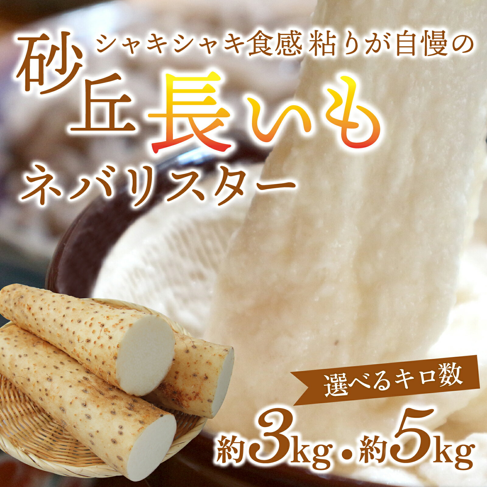 【ふるさと納税】【能登半島地震復興支援】＜2025年収穫分先行予約＞ 砂丘 長いも とろろ「ネバリスター」選べる容量 3kg 5kg 石川県 特産品 能登 入口 送料無料