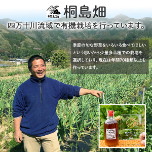 【桐島畑】ジンジャーシロップ 1本（480g） 栽培期間農薬 化学肥料不使用 生姜 Fkh-A08／ 生姜 しょうが 生姜シロップ ジンジャー 無農薬