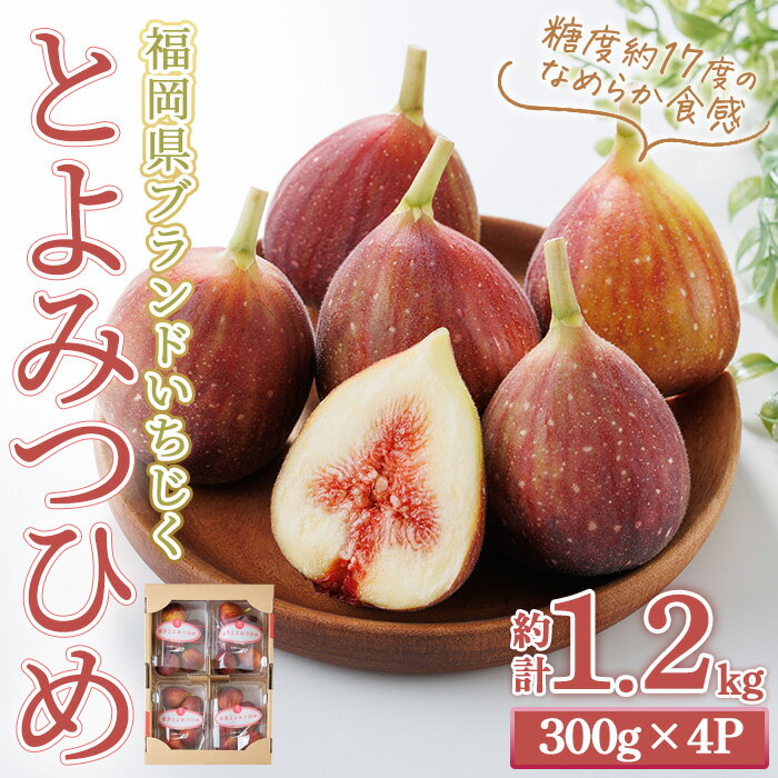 【ふるさと納税】＜先行予約受付中！2026年8月下旬～2026年10月下旬順次発送予定＞福岡県ブランドいちじく博多 とよみつひめ (計約1.2kg・300g×4P) いちじく イチジク フルーツ 果物 くだもの 福岡限定＜離島配送不可＞【ksg1750】【農産物直売所ほたるの里】