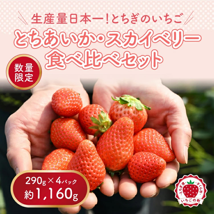 《数量限定》いちご厳選！さくら市産 とちあいか・スカイベリー食べ比べセット（290g×4パック） ｜ 先行予約 栃木県 果物 フルーツ 苺 イチゴ ※2027年1月～発送