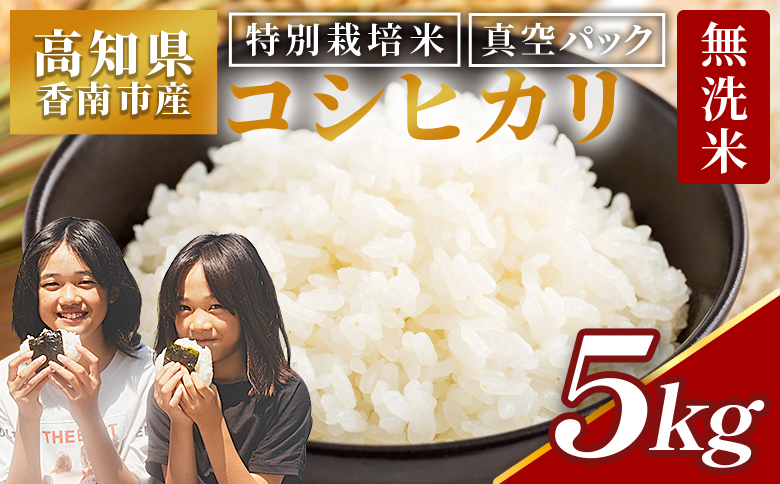 【令和8年産】【無洗米】コシヒカリ5kg真空パック 1回配送 約5kg