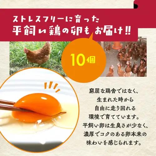 【12回定期便】＜アスカ有機農園＞旬の京野菜セットＬ 野菜