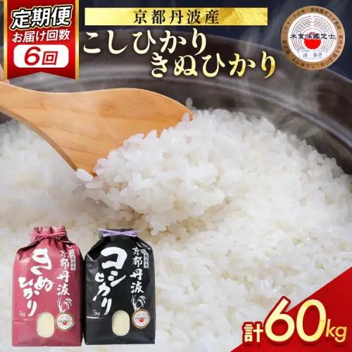 【6回定期便】コシヒカリ・きぬひかり 10kg 定期便 精米 白米