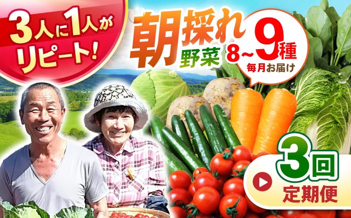 
                  野菜定期便 【全3回定期便】諫早産野菜の詰め合わせ 8〜9品目程度 / 野菜定期便 3回 やさい 旬野菜 旬 新鮮 詰合せ セット 採れたてyasai ヤサイ ベジタブル 春野菜 夏野菜 秋野菜 冬野菜 定期便/ 諫早市 / 肥前グローカル株式会社[AHDI001]
                
