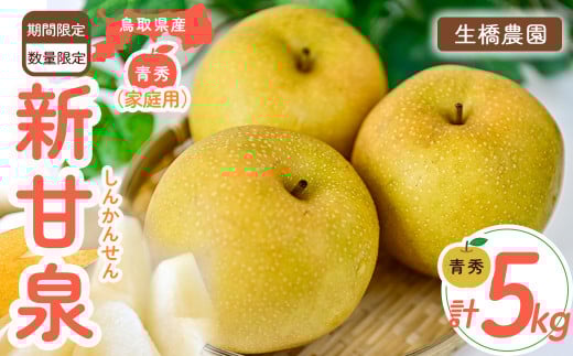 新甘泉【鳥取県産】（家庭用）5kg（生橋農園） 青秀 鳥取 梨 5kg 果物 フルーツ 和梨 先行予約 数量限定 新甘泉 詰め合わせ 新品種