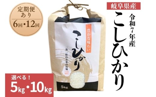 令和7年産 郡上産こしひかり 10kg 定期便 12回 12ヶ月 食品 米 精米 白米 コシヒカリ お米 コメ こめ 米 320000円 G0411_10_te12