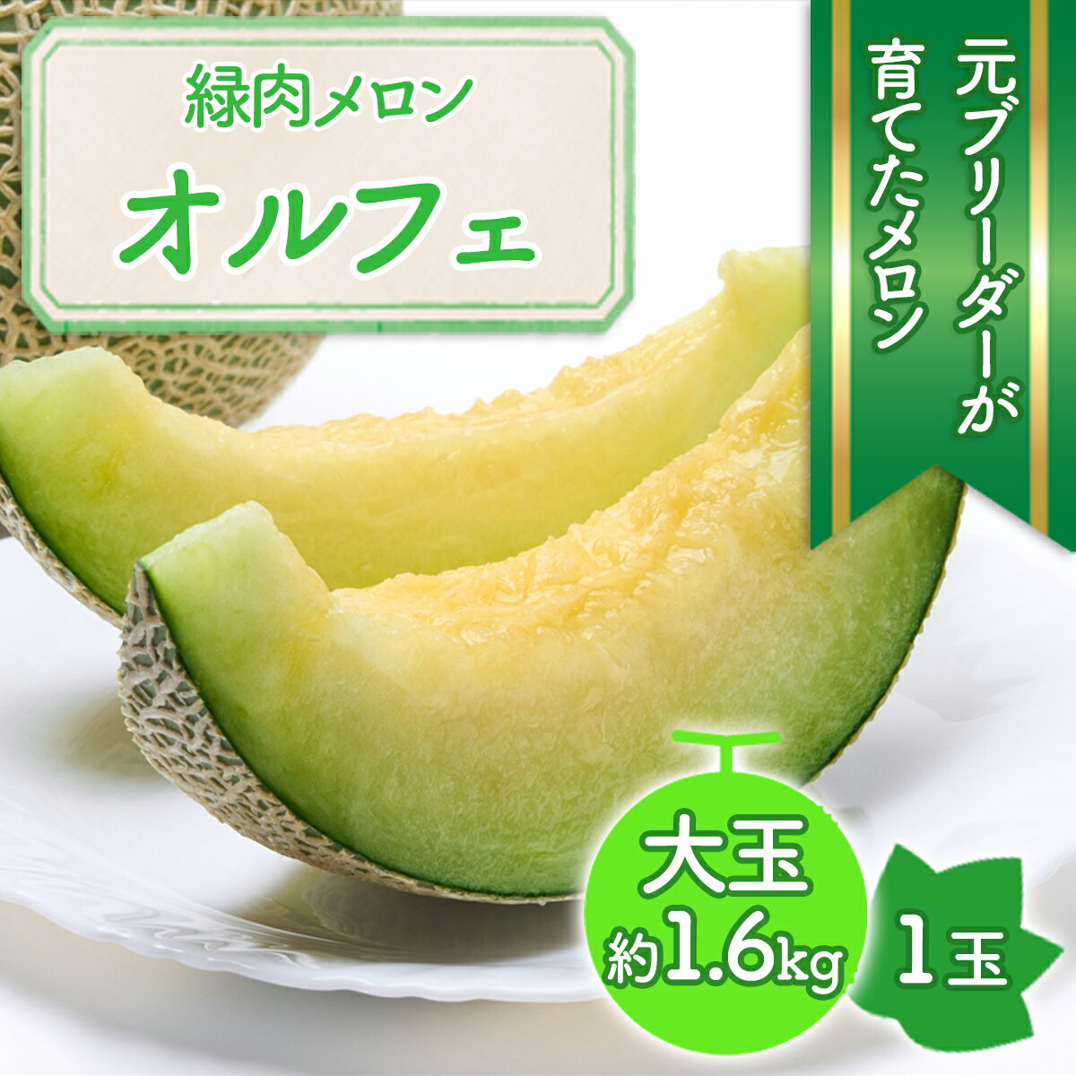 【ふるさと納税】＜6月〜7月頃発送＞特大ネットメロン オルフェ 1玉／フルーツ 果物 緑肉 季節限定 数量限定 期間限定 先行予約 石川農場