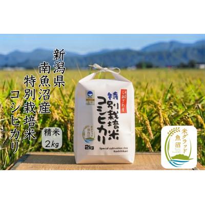 ふるさと納税 南魚沼市 安心安全の新潟県南魚沼産特別栽培米コシヒカリ　2kg　新潟県認証