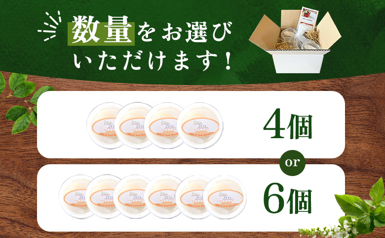 モッツァレラチーズ6個入セット【15000101】 6個入