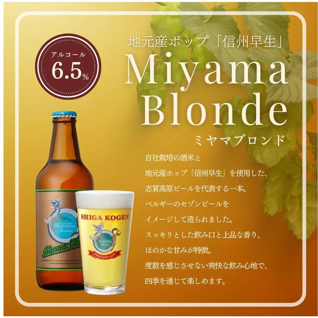 定期便 3ヶ月 クラフトビール 志賀高原ビール 6本 セット 玉村本店 クラフトビール