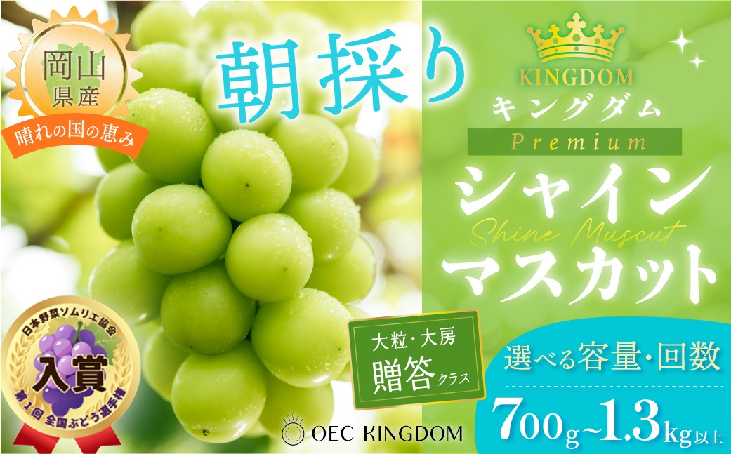 
                  ぶどう 2026年 先行予約 プレミアム シャインマスカット 選べる容量・回数（700g〜1.3kg） 大粒 大房 贈答クラス ブドウ 葡萄 岡山県産 国産 フルーツ 果物 ギフト OEC KINGDOM ぶどう家 果物類
                