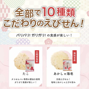 えびせん重箱 海原 えびせんパーク 煎餅 せんべい 海老せんべい たこせん たこせんべい いかせんべい 海老 いか たこ 姿焼き 詰め合わせ お菓子 おつまみ おやつ 美浜町 愛知県 特産品 おみやげ