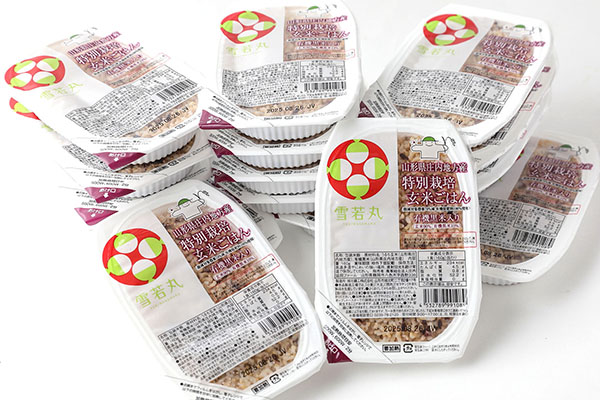 ＜9月中旬発送＞6か月定期便！雪若丸 玄米パックごはん 24個（入金期限：2025.8.25） 8月中旬発送