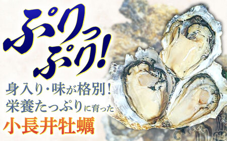 小長井牡蠣3kg 先行予約 牡蠣 AHBJ005