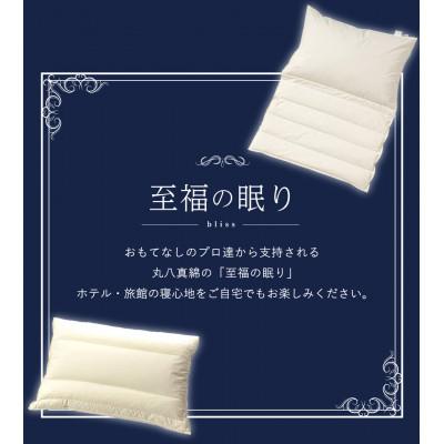 ふるさと納税 磐田市 納品実績多数 ホテル・旅館で使われる丸八真綿の「折り重ね枕」 専用カバー付き ブルー |  | 02