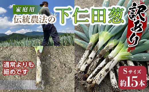 
            訳あり（家庭用）伝統農法の下仁田葱（Sサイズ 15本） とろける 甘い ねぎ ネギ 王様ねぎ 特産 栄養たっぷり ブランド 上州ねぎ すきやき F21K-575
          
