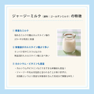 共進牧場 ジャージーミルクアイスクリーム 3種30個[ スイーツ アイス 濃厚 ] お菓子 デザート 希少 風味 コク 鮮度 牛乳 搾りたて 美味しい 