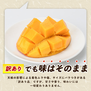 【訳あり】しあわせ完熟マンゴー 約800g(マンゴーの森/016-2055)  2玉 ～ 3玉 国産 南国 指宿産 鹿児島 アップルマンゴー マンゴー 果物 くだもの フルーツ 完熟 産地直送 お取り