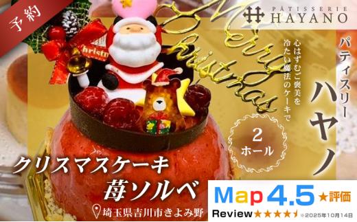 031-003 【数量限定・先行予約】クリスマス予約ジェラートケーキ (冷凍) 苺ソルベ 2ホール YSKBV005