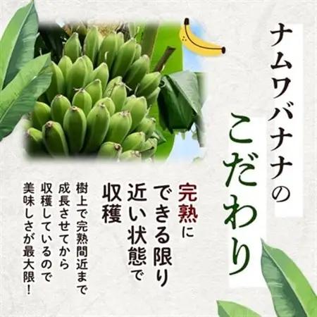 西原町の栽培期間中農薬不使用のナムワバナナ2kg【1616140】