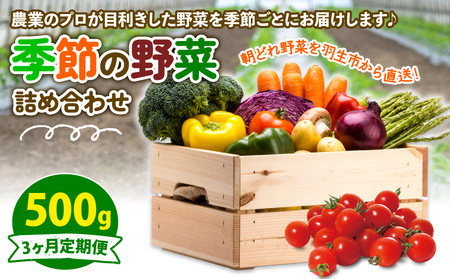 定期便 季節 野菜 詰め合わせ 500g 3ヶ月 連続お届け 果物 産地直送 朝どれ 詰め合わせ とれたて 濃厚 ごほうびとまと 風の子ファーム ﾌﾙｰﾂﾄﾏﾄ ほうれんそう 白菜 ｷｬﾍﾞﾂ ﾌﾞﾛｯｺﾘｰ そら豆 ﾔﾝｸﾞｺｰﾝ とうもろこし ﾔﾝｸﾞｺｰﾝ 唐辛子 ﾊﾟﾌﾟﾘｶ 水 ﾅｽ ｵｸﾗ ｷｭｳﾘ ｶﾘﾌﾛｰﾚ 埼玉県 羽生市