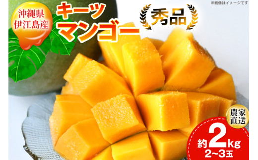 【期間限定発送】 キーツ マンゴー 秀品 約 2kg (2〜3玉) [伊江村マンゴー部会 沖縄県 伊江村 ie47bde320009] キーツマンゴー 沖縄 フルーツ 果物 甘い 夏 濃厚 Mango 果物 果実 くだもの