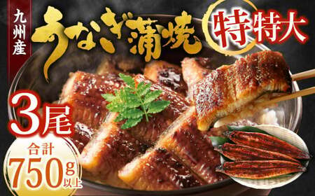 九州産 うなぎ蒲焼 特特大3尾 (1尾あたり250～266g) 合計750g以上【2025年9月発送】