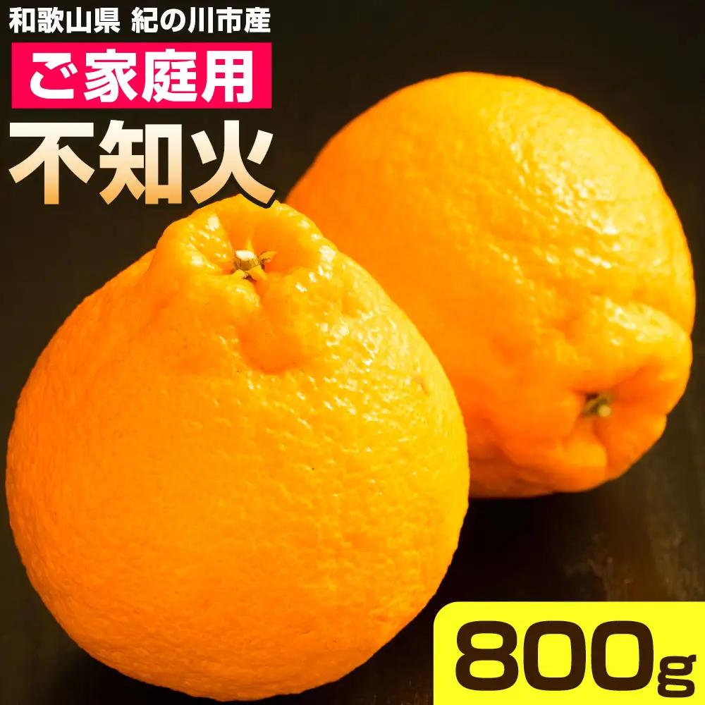 ご家庭用 不知火 約800g 