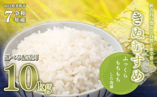 令和7年度産 新米 きぬむすめ 白米 10kg 先行予約 ＜ 2025年11月～より順次発送予定 ＞ ｜ 精米 新米 白米 米 お米 コメ 単一米 きぬむすめ 山口 美祢 秋吉台 10kg