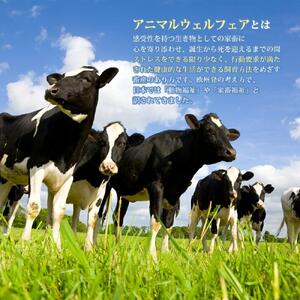北海道旭川産 チーズ ヨーグルト 牛乳 定番3種セット 【チーズ 牛乳 道産牛乳 チーズセット チーズ ちーず ti-zu cheese CHEESE 北海道 旭川市】_00129