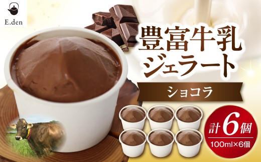 E.den(エデン) 豊富牛乳ジェラート ショコラ 100ml×6個