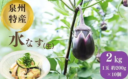 水なす泉州特産生泉州産水なす【200g×10個】
