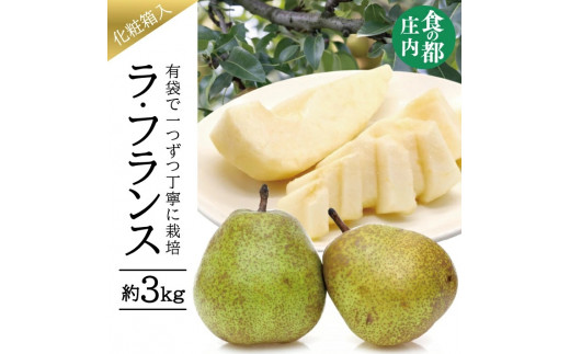 有袋栽培 ラ・フランス　約3kg(7～10玉入) 化粧箱入 SA2937