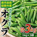 【ふるさと納税】＜期間限定＞鹿児島県指宿市！新鮮オクラ(計3kg・1kg×3袋) 野菜 おくら てんぷら 豚肉巻き オクラ水【アグリスタイル】