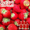 【ふるさと納税】あまおうボリュームセット 約250-270g×6パック 合計約1500-1620g あまおう いちご イチゴ 苺 ストロベリー ベリー フルーツ 果物 旬 冷蔵 福岡県 岡垣町 送料無料 【2025年2月上旬～4月上旬発送予定】