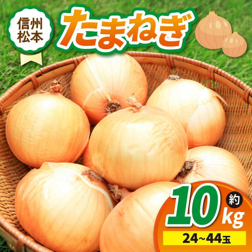 【ふるさと納税】【先行受付】たまねぎ 24～44玉 約10kg｜ふるさと納税 松本市 たまねぎ 玉葱 サラダ 農家 料理 自然 ビタミン 豊富 地元 新鮮