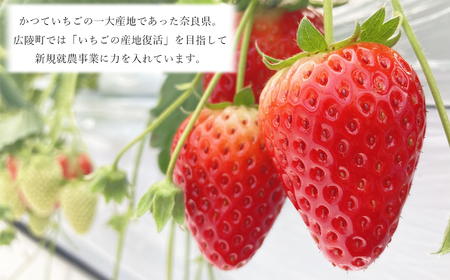 古都華100％使用 いちごバター2本セット【1月下旬より順次発送】  /// 【広陵町×曽爾村連携返礼品】 いちご 古都華 いちごバター バゲット パン 瓶