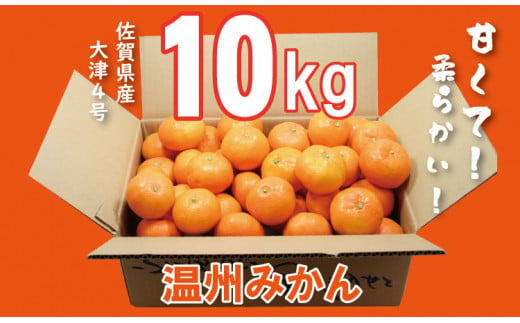 
大好評！ご家庭用 大津みかん（10kg）コタツで甘いみかん！柑橘 温州
