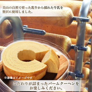 バウムクーヘン 南丹市「美山牛乳」100%使用【南丹市×綾部市共同開発】 カット 8個 ( バームクーヘン こだわり おやつ スイーツ バウム お菓子 焼菓子 洋菓子 人気 おすすめ 京都 サクラティ
