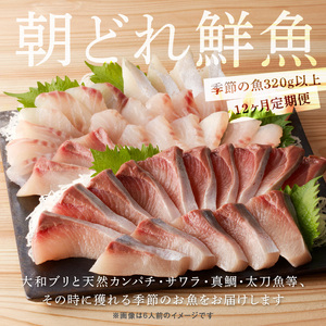 【12ヶ月定期便】大和海商 大和のこだわり漁師のお刺身4人前【冷凍】 N072-YG0254-2