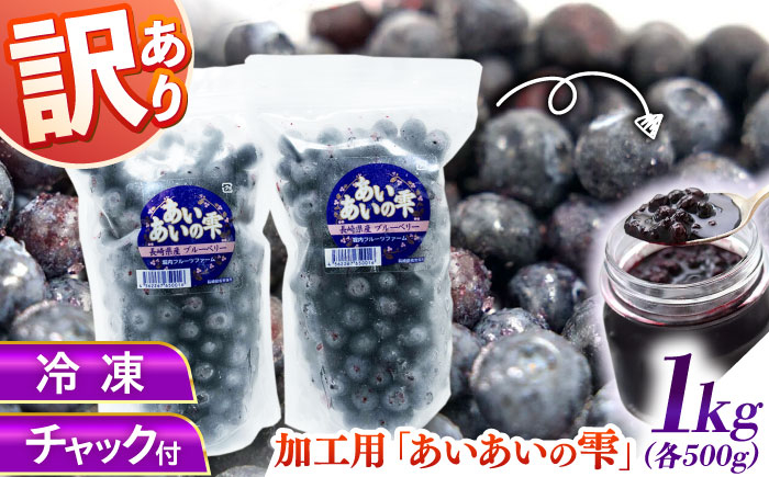 
            【訳あり】冷凍ブルーベリー 計1kg 果物 ブルーベリー フルーツ 小分け 熊本 冷凍 ブルーベリー 大粒 ぶるーべりー 国産【堀内フルーツファーム】 [QAT019]
          