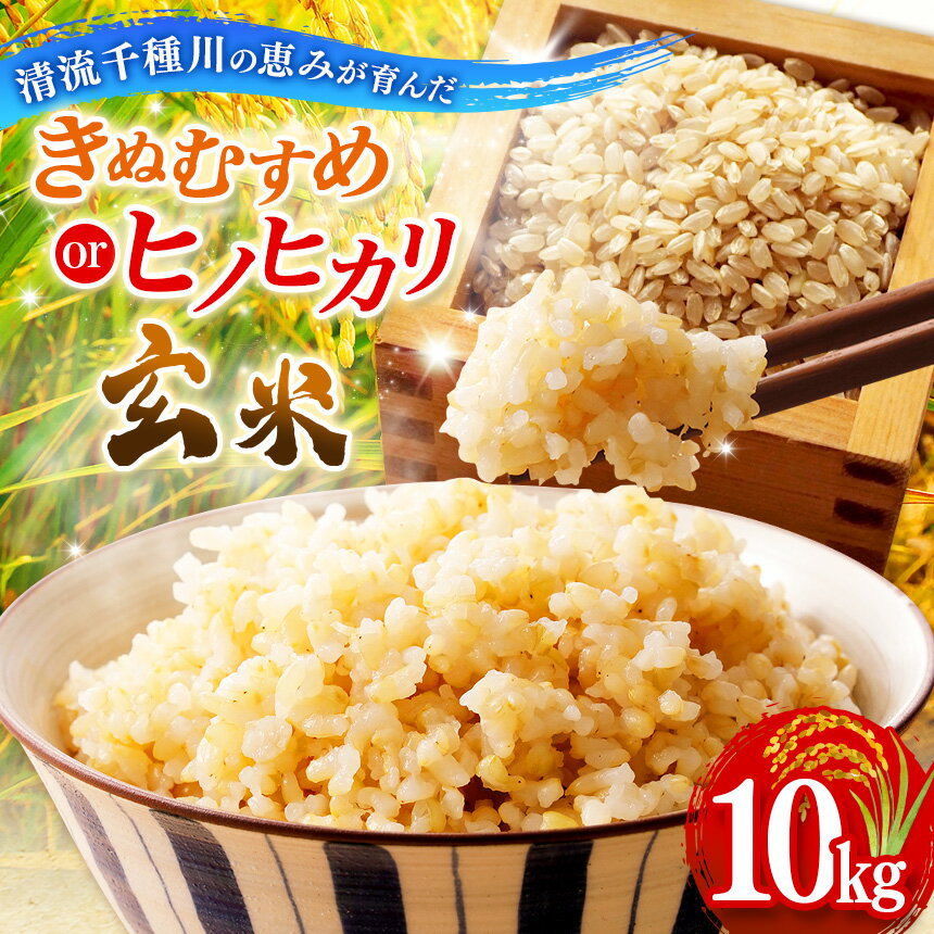 【ふるさと納税】【選べる品種】清流千種川で育った玄米 ヒノヒカリ10kg・きぬむすめ10kg 食べ比べ | お米 おこめ 米 コメ こめ ヒノヒカリ きぬむすめ 玄米 艶 粘り ふっくら 冷めても美味しい 特産米 高評価 リピーター続出 家庭用 まとめ買い 国産ブランド米 兵庫県 上郡