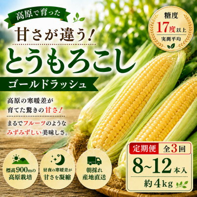 【ふるさと納税】【2週間毎定期便】朝採り出荷　長野県茅野市産　とうもろこし　計約4kg全3回【配送不可地域：離島・北海道・沖縄県】【4088495】