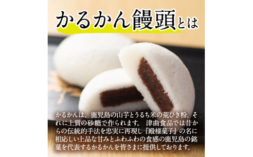 【訳あり】鹿児島の郷土菓子かるかん饅頭(20個) 【津曲食品】A512-v02 20個