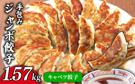 手包み ジャンボ キャベツ 餃子 45個 冷凍 【 餃子 】