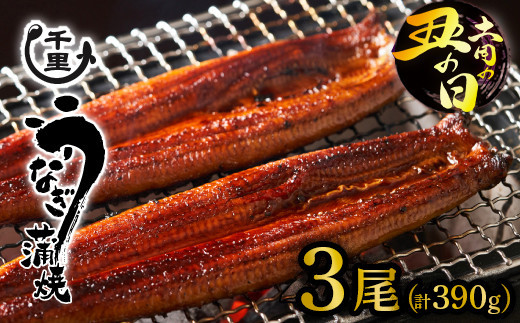
            【土用丑の日】鹿児島県産うなぎ蒲焼き　約130g×3尾
          